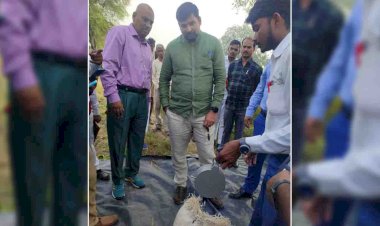 चित्रकूट : डीएम ने धान की क्राफ्ट कटिंग का लिया जायजा