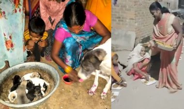 फीमेल डॉग ‘चटनी’ ने दिया नौ पिल्लों को जन्म, जश्न में 400 लोगो ने उडाई दावत