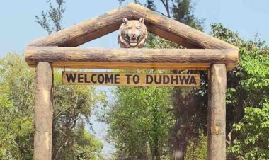 उप्र में 15 नवंबर से प्रारम्भ होगा ईको टूरिज्म सत्र, 15 जून तक खुले रहेंगे वन्यजीव विहार