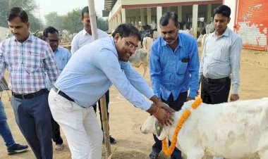 चित्रकूट : गौशाला में मनायी गयी गोपाष्टमी