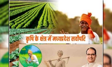 मप्र को इस बार फिर मिलेगा कृषि कर्मण अवार्ड, गेहूं की बंपर होगी पैदावार