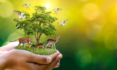 जीवन प्रकृति के साथ चलने पर ही संभव