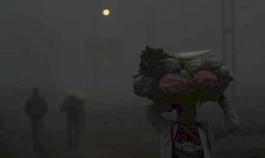 मप्र के 20 शहरों का तापमान 10 डिग्री के नीचे पहुंचा, शीतलहर की चपेट में प्रदेश