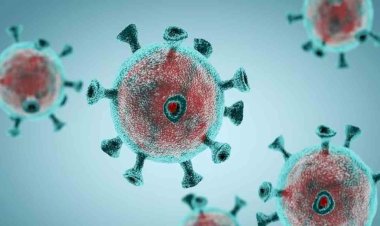 देश में पिछले 24 घंटे में कोरोना के 358 नए मामले, 6 की मौत