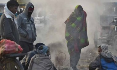 घने कोहरे ने बढ़ाई ठंड, अगले 2 दिनों में पड़ेगी हाड़ कंपाने वाली सर्दी, जानिए मौसम का हाल