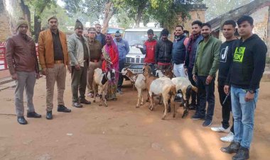 चित्रकूट : पुलिस ने महिला के साथ हुई लूट की घटना का किया खुलासा