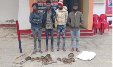 दुर्लभ प्रजाति के कछुआ की तस्करी करने वाले चार गिरफ्तार, 16 कछुए बरामद
