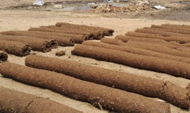 बुन्देलखण्ड का ये पहला जनपद होगा,  जहां गाय के  गोबर से लकड़ी बनाने का प्रोजेक्ट शुरू होगा