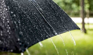 मप्र: प्रदेश के 11 जिलों में छाया कोहरा, नमी की वजह से बूंदाबांदी की संभावना