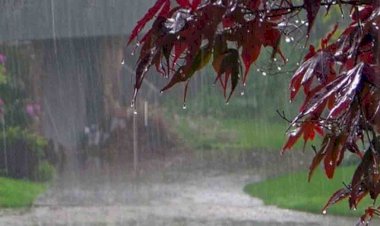 कानपुर मंडल सहित पूरे उप्र में अभी बादलों की आवाजाही रहेगी जारी, बूंदाबांदी की संभावना