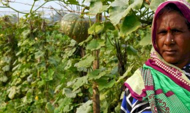 मजदूर की पत्नी के हौसलें को सलाम, सब्जी की खेती से बदल डाली तकदीर