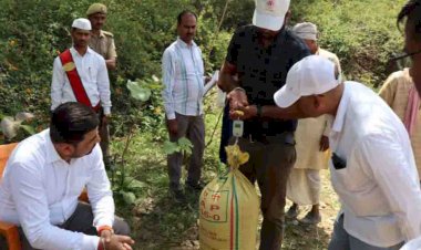 डीएम ने गेंहू की कराई क्राफ्ट कटिंग