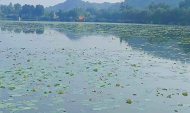 डल झील से कम नहीं है सप्त सरोवरों का अद्भुत संगम, बुंदेलखंड का कश्मीर है चरखारी