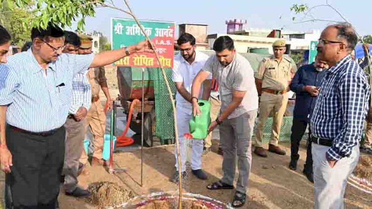 पौधरोपण कर जनपदवासियों से की पौधे लगाने की अपील