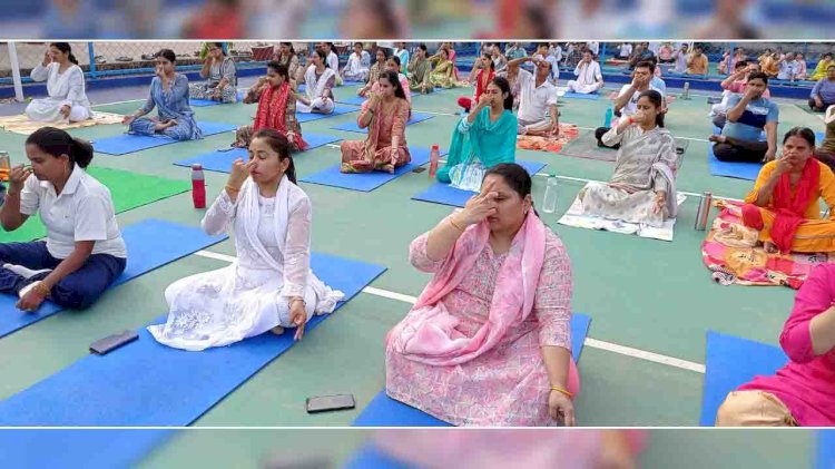 केसीएनआईटी ग्रुप ऑफ इंस्टीट्यूशंस बाँदा में दशम अंतर्राष्ट्रीय योग दिवस का आयोजन