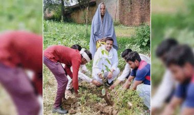 पौधे रोपित कर पर्यावरण सुरक्षा का लिया संकल्प