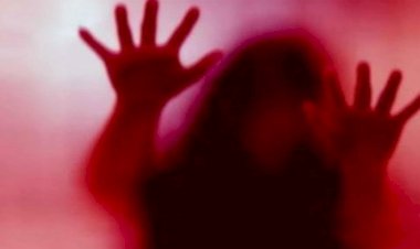 हमीरपुर से महिला को अगवा कर नोएडा में बंधक बनाकर की दरिंदगी