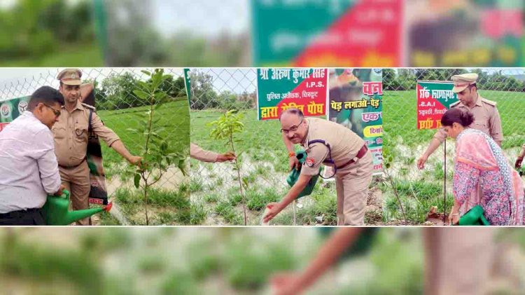 डीएम ने लोगों से अधिकाधिक पौधे रोपित करने की अपील की