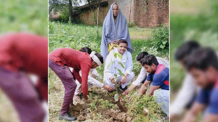 पौधे रोपित कर पर्यावरण सुरक्षा का लिया संकल्प