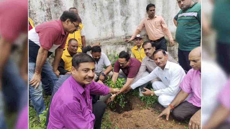 झाँसी : मुख्यालय का कार्यभार सम्हालते ही उप - नियंत्रक ने कराया वृक्षारोपण