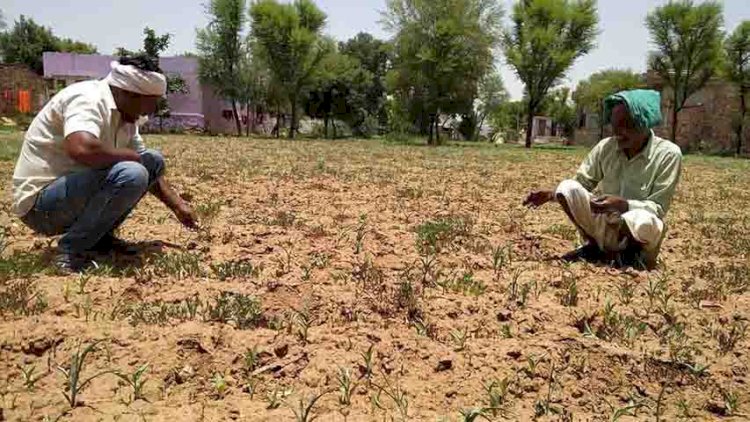 मानसून की बेरुखी से किसानों की बढ़ी चिंता