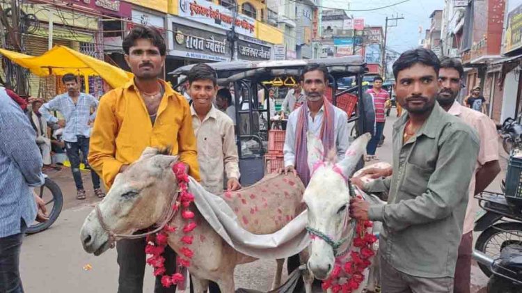 मध्य प्रदेश : छतरपुर में अच्छी बारिश के लिए लोगों ने लिया इस अनोखे टोटके का सहारा