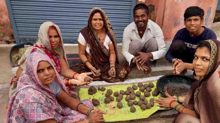 दमोह : सीड बाल से लौटेगी धरती की हरियाली - अनुराग गौतम