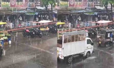 मध्यप्रदेश में अबतक 96 प्रतिशत हो चुकी बरसात, आज 14 जिलों में तेज बारिश का अलर्ट