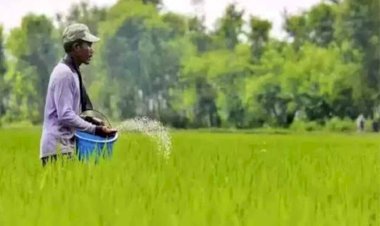 बुंदेलखंड में केमिकल खाद ने अब खेती की बिगाड़ी सेहत