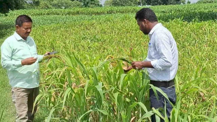 प्रक्षेत्र भ्रमण कर कृषि वैज्ञानिकों ने किया जागरूक