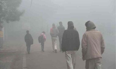 मध्य प्रदेश में हवाओं के रुख से सर्दी का असर बढ़ा, पचमढ़ी में तापमान 8.8 डिग्री पहुंचा