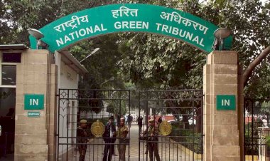 एनजीटी के सवाल के बहाने सपा प्रमुख अखिलेश यादव ने सरकार को घेरा