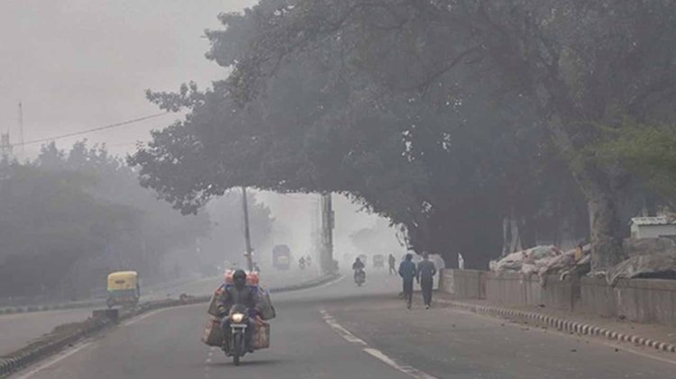 मध्‍य प्रदेश में कई शहरों की राते हुई ठंडी, पचमढ़ी सबसे ठंडा, 12.2 डिग्री पहुंचा तापमान