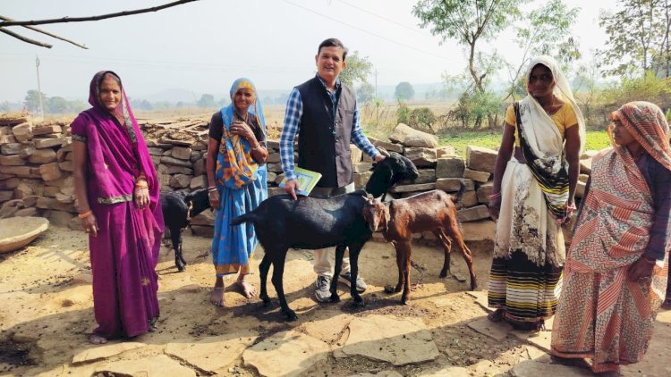 बुंदेलखंड नेचुरल संस्था ने शुरू किया बुंदेलखंडी बकरी का डोर-टू-डोर सर्वे