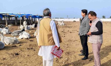 एडीएम ने गौशाला का किया निरीक्षण