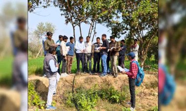 मिनी स्प्रिंकलर का दिखाया गया प्रदर्शन