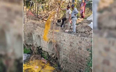 खाद्य सुरक्षा टीम ने नमूने भरे, नष्ट कराया खोवा-नमकीन