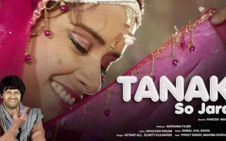 बुंदेली संगीत प्रेमियों के लिए खुशखबरी! "तनक सो जरा" का भव्य लॉन्च