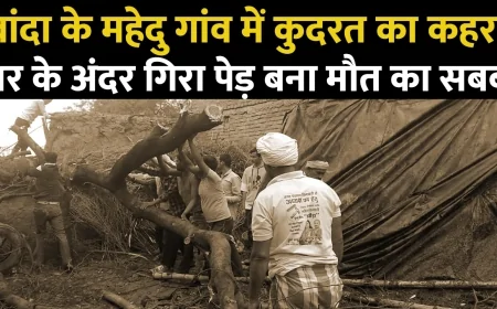 बांदा में तूफ़ान की तबाही : 50 हज़ार से ज़्यादा का नुक़सान, मवेशियों की गई जान