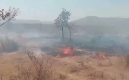 घुरेटनपुर व भरथौल के जंगल में लगी आग