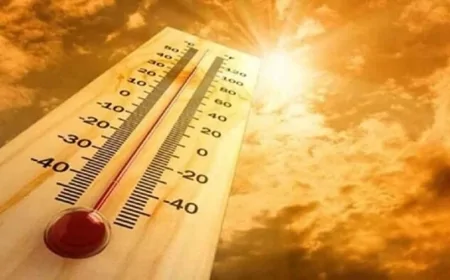 मध्य प्रदेश में गर्मी का पारा हाई, आज जबलपुर-ग्वालियर समेत 30 जिलों में लू का अलर्ट