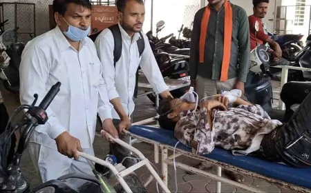 दर्दनाक सड़क हादसे में 8 की मौत, 5 गंभीर