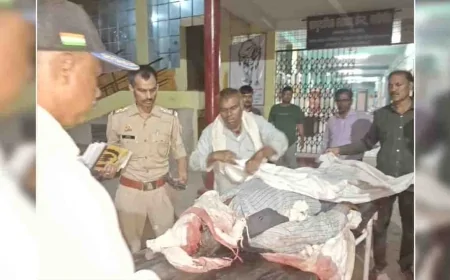 बाइक ट्रैक्टर भिड़ंत में भतीजे की मौत, चाचा गंभीर घायल