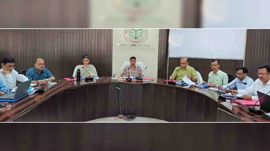 ग्राम पंचायत में आशाओं का चयन कर भरें रिक्त पद : डीएम