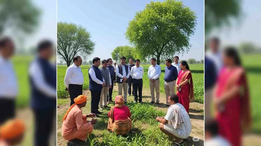 आईएएस अधिकारी फिर उतरेंगे फील्ड में, जानेंगे विकास की जमीनी सच्चाई