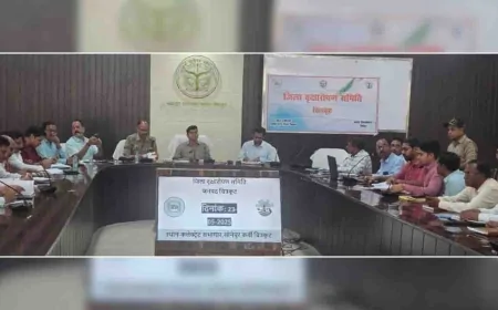 समन्वय बनाकर रोड के किनारे कराएं वृक्षारोपण : डीएम