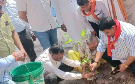 खेती की नवीनतम तकनीकी अपनाकर उत्पादन को बढ़ायें किसान : जाटव