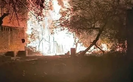 शॉर्ट सर्किट से लकड़ी के टाल में भीषण आग, 10 लाख की क्षति