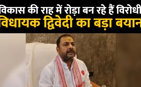 सदर विधायक ने खोला विरोधियों का काला चिट्ठा, प्रेसवार्ता में दिया करारा जवाब