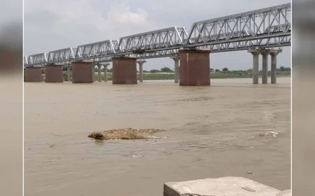 यमुना नदी का जल स्तर 12 सेमी प्रति घंटा की रफ्तार से बढ़ा